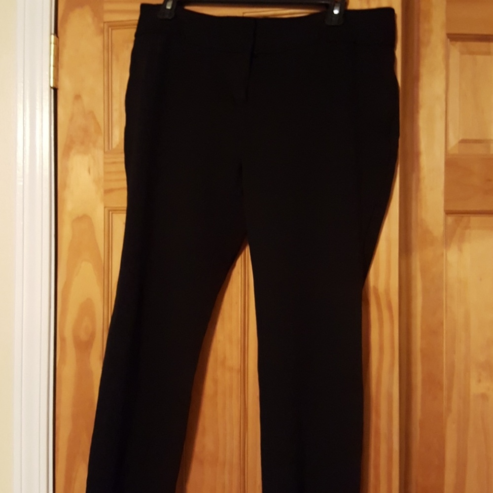 Vince Camuto pants